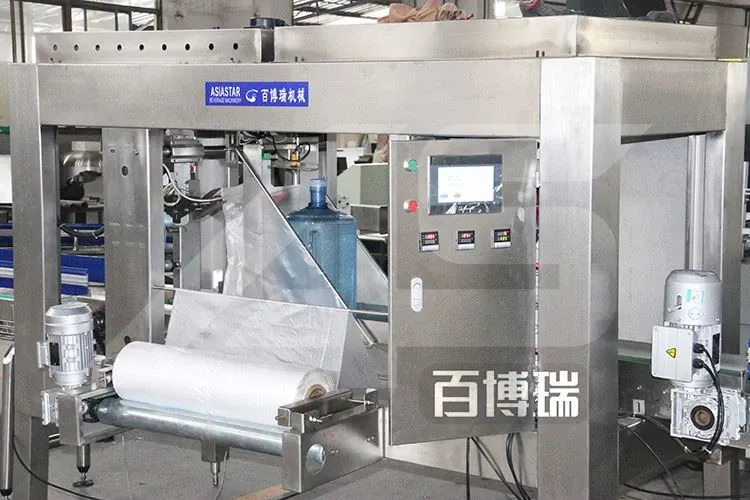 Automatic Bagging Machine